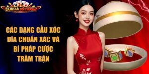 Các Dạng Cầu Xóc đĩa